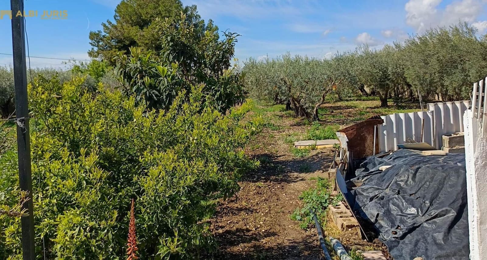 3 bedroom Finca/Country House for sale in Albatera with pool - € 300,000 (Ref: 9915871)