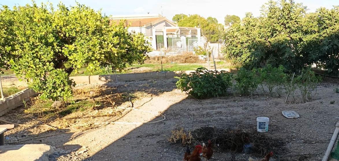 5 soveværelse Finca/Landehus til salg i Crevillente / Crevillent med swimmingpool - € 246.000 (Ref: 9977361)