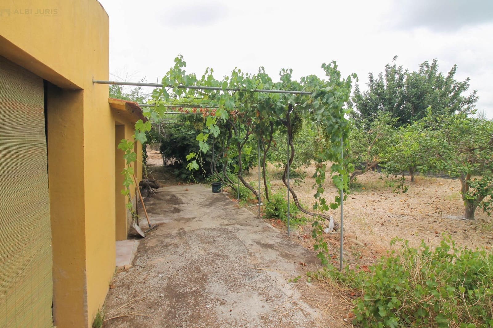 4 chambre Finca/Maison de Campagne à vendre à Crevillente / Crevillent avec piscine garage - 435 000 € (Ref: 9986916)