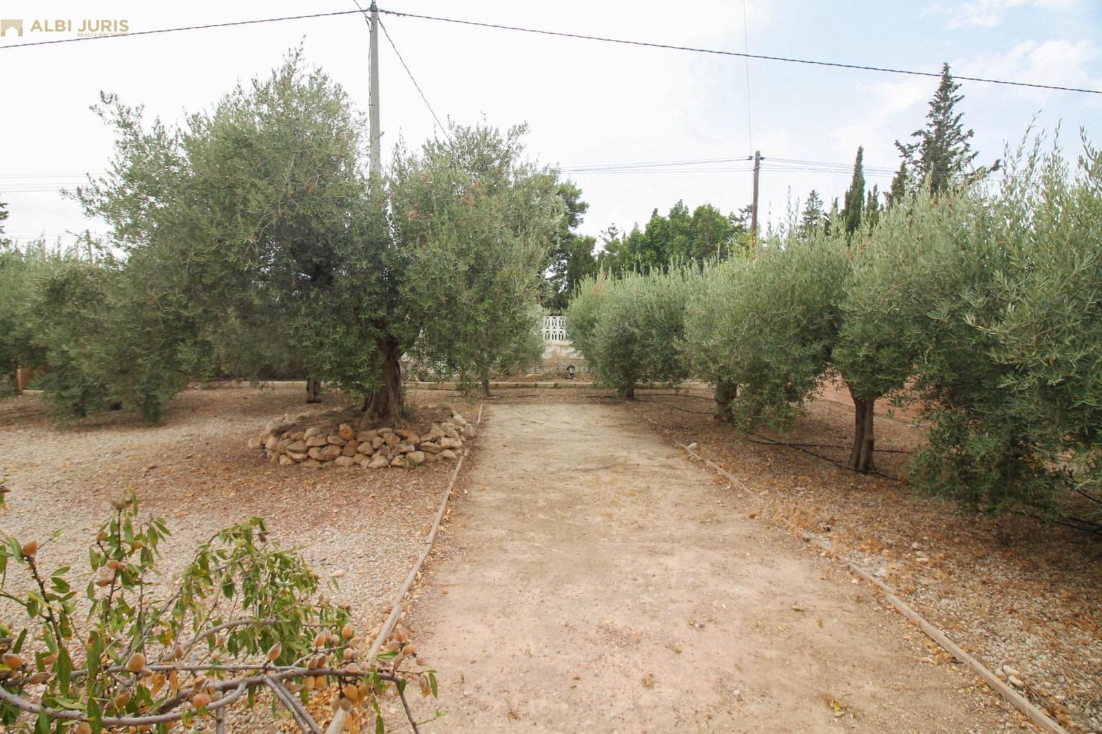 4 chambre Finca/Maison de Campagne à vendre à Crevillente / Crevillent avec piscine garage - 435 000 € (Ref: 9986916)