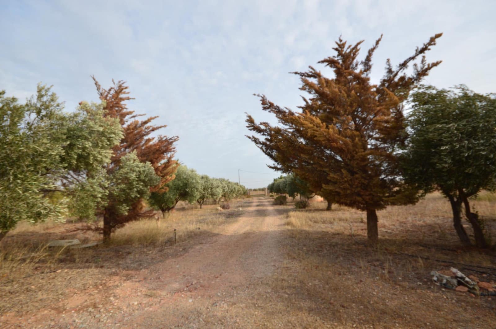 4 bedroom Finca/Country House for sale in Cartagena with garage - € 300,000 (Ref: 9901405)