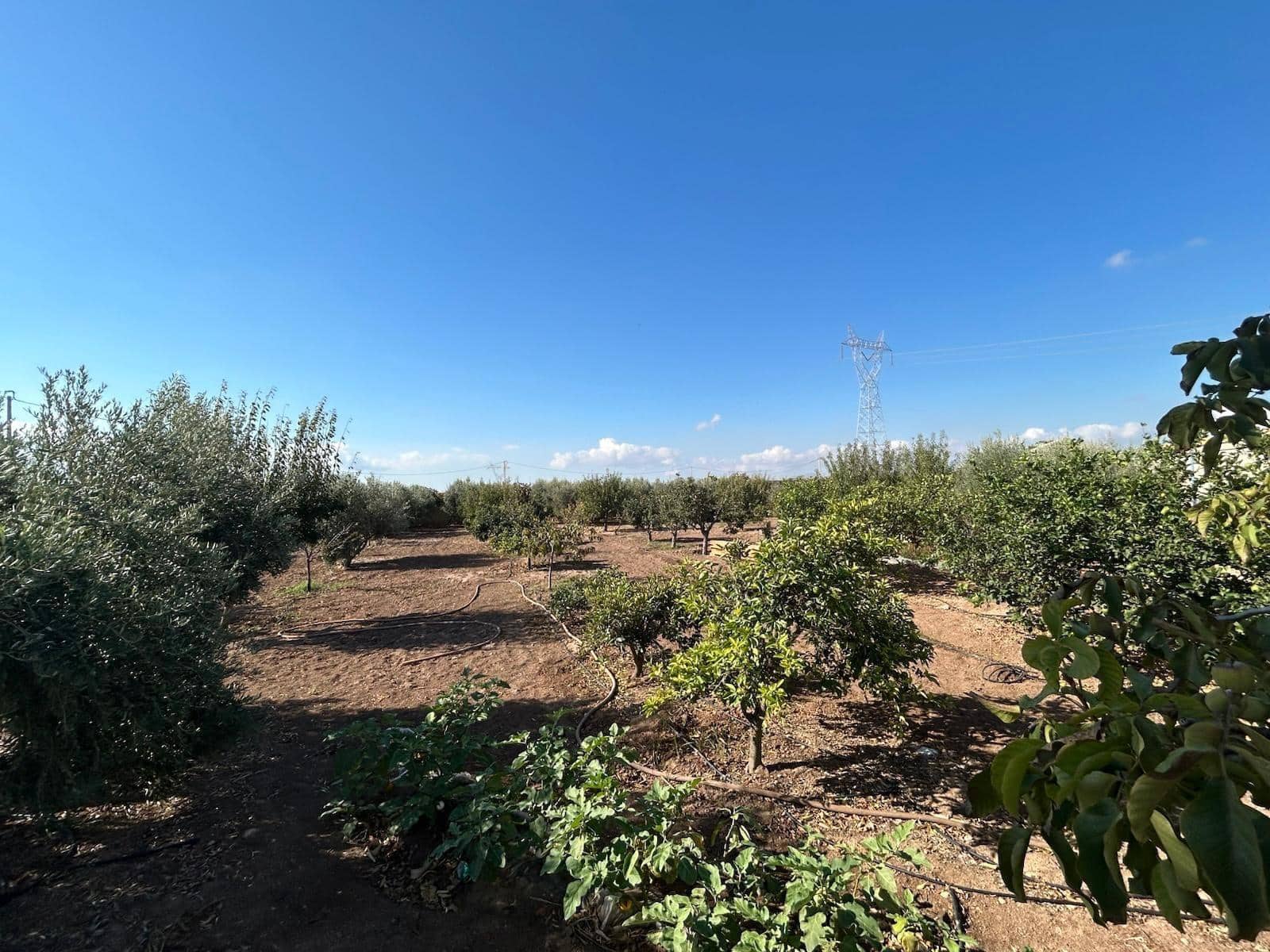 3 bedroom Finca/Country House for sale in La Puebla with pool garage - € 420,000 (Ref: 9901411)