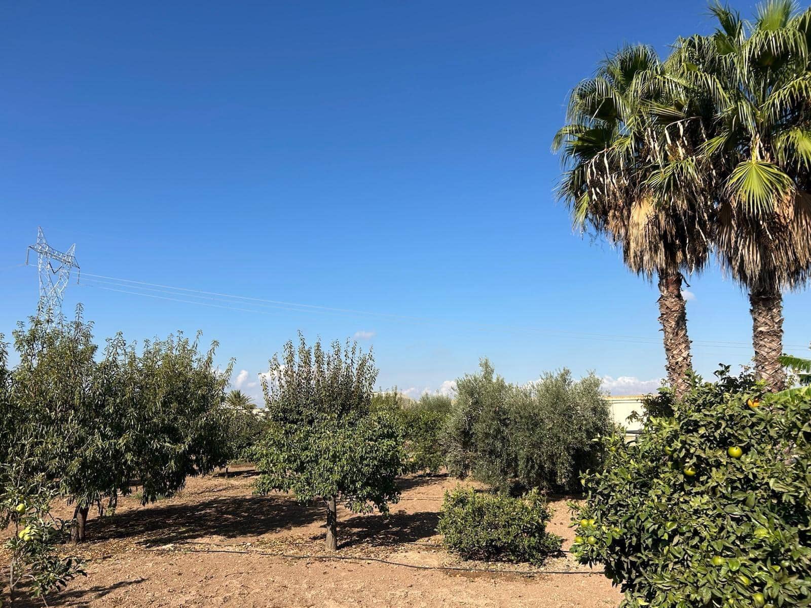 3 bedroom Finca/Country House for sale in La Puebla with pool garage - € 420,000 (Ref: 9901411)