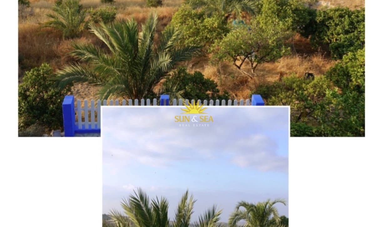 Chalet de 3 habitaciones en Alicante / Alacant ciudad en alquiler vacacional - 1.300 € (Ref: 10045492)