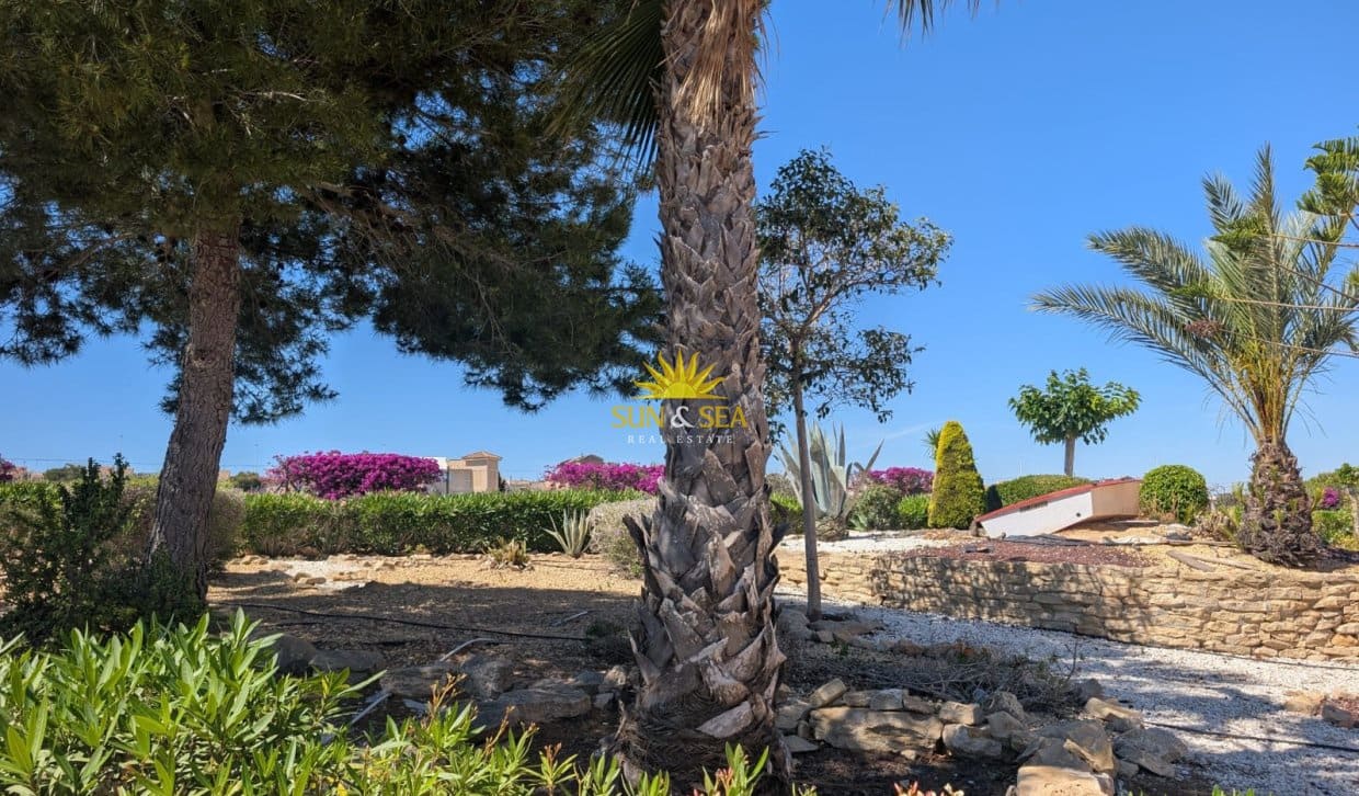 3 quarto Apartamento para arrendar em Gran Alacant com piscina - 950 € (Ref: 10054445)