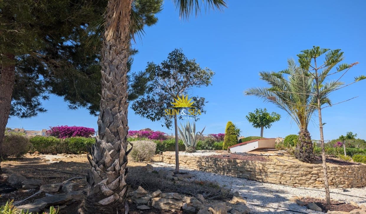 3 quarto Apartamento para arrendar em Gran Alacant com piscina - 950 € (Ref: 10054445)