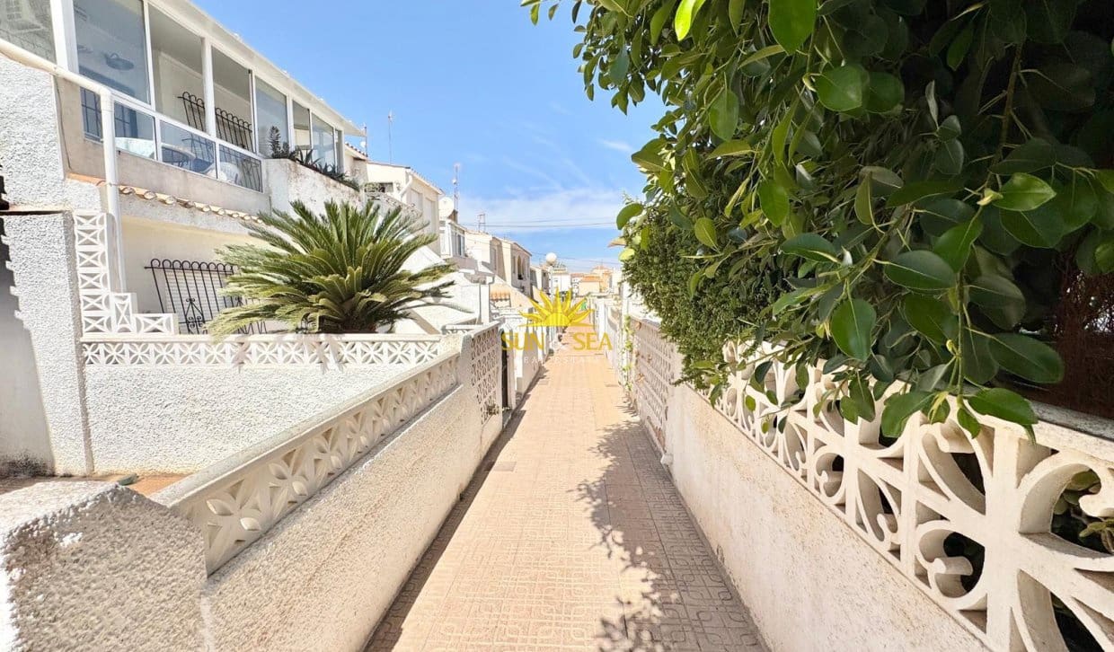 2 Zimmer Haus zu vermieten in Torrevieja - 800 € (Ref: 10060644)