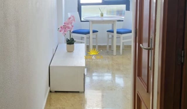 Apartamento de 1 habitación en Zona Pueblo, Guardamar del Segura en alquiler con garaje - 500 € (Ref: 10073247)