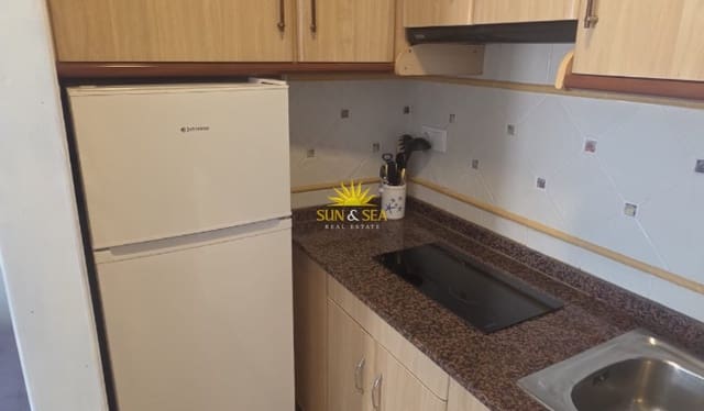 Apartamento de 1 habitación en Zona Pueblo, Guardamar del Segura en alquiler con garaje - 500 € (Ref: 10073247)