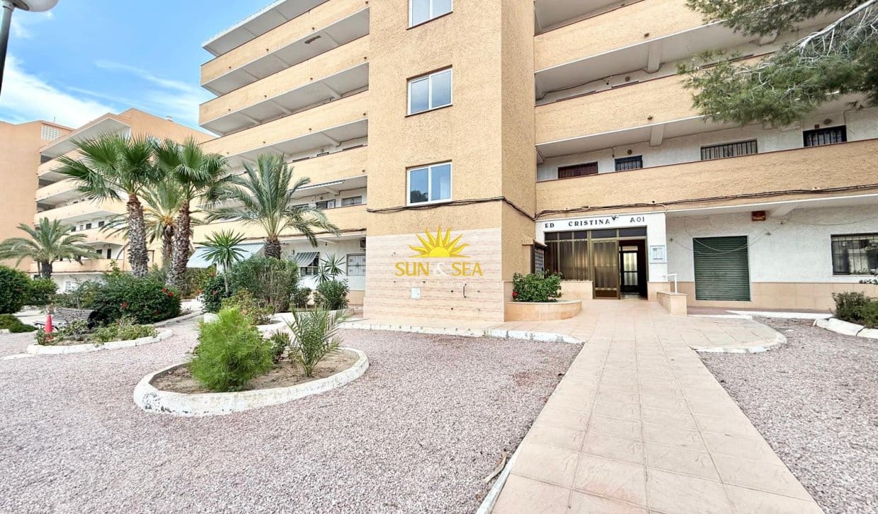 1 quarto Apartamento para arrendar em Guardamar del Segura - 650 € (Ref: 10121067)