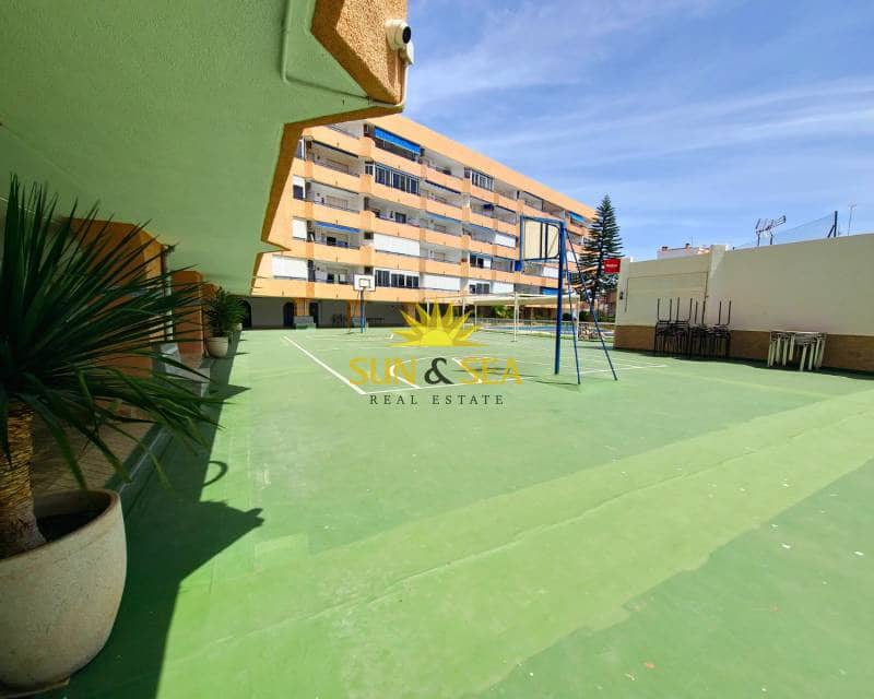 1 quarto Apartamento para arrendar em Torrevieja com piscina - 600 € (Ref: 7001409)
