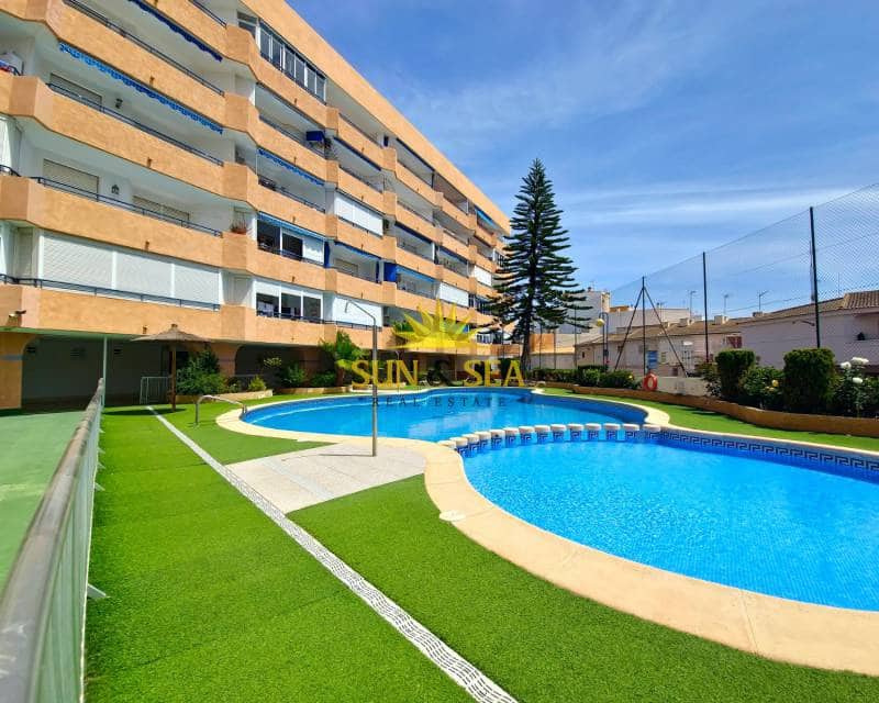 1 quarto Apartamento para arrendar em Torrevieja com piscina - 600 € (Ref: 7001409)