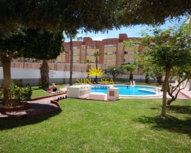 1 bedroom Apartment for rent in Torrevieja with pool - € 650 (Ref: 7013994)