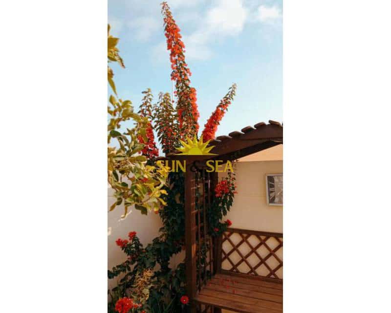 5 Zimmer Apartment zu vermieten in El Mojon mit Pool Garage - 1.500 € (Ref: 7219135)