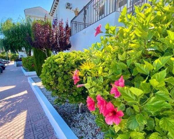 1 soveværelse Lejlighed til leje i Playa Flamenca, Orihuela med swimmingpool - € 650 (Ref: 7244643)