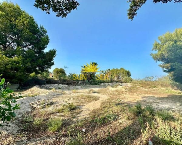 2 slaapkamer Villa te huur in Algorfa met zwembad - € 800 (Ref: 7658830)