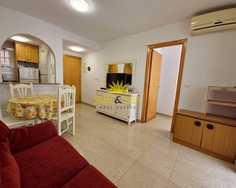 1 bedroom Apartment for rent in Torrevieja with pool - € 650 (Ref: 7846960)
