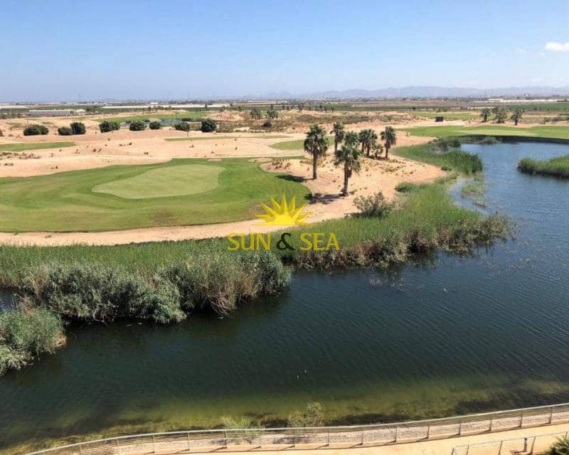 2 bedroom Apartment for rent in Torre-Pacheco with pool garage - € 700 (Ref: 8499240)