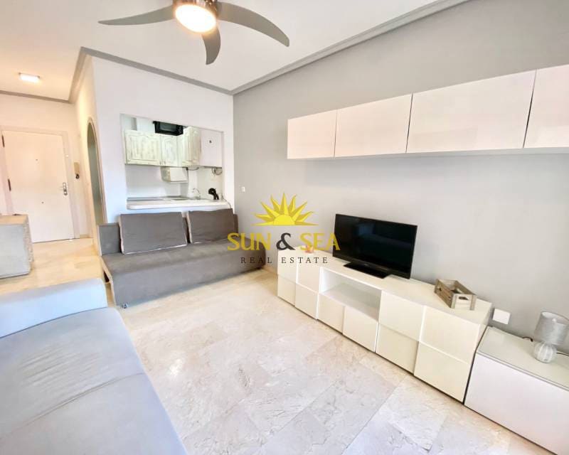 1 Zimmer Studio zu vermieten in Torrevieja - 650 € (Ref: 8501263)