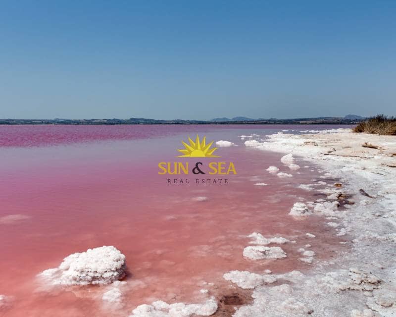 2 bedroom Townhouse for rent in Torrevieja with pool garage - € 850 (Ref: 8680366)