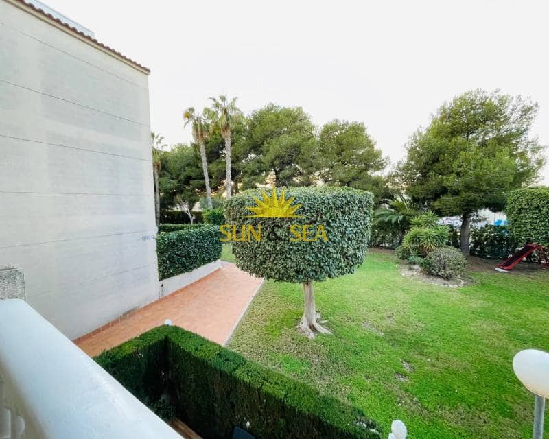 2 Zimmer Haus zu vermieten in Torrevieja mit Pool - 750 € (Ref: 8798753)