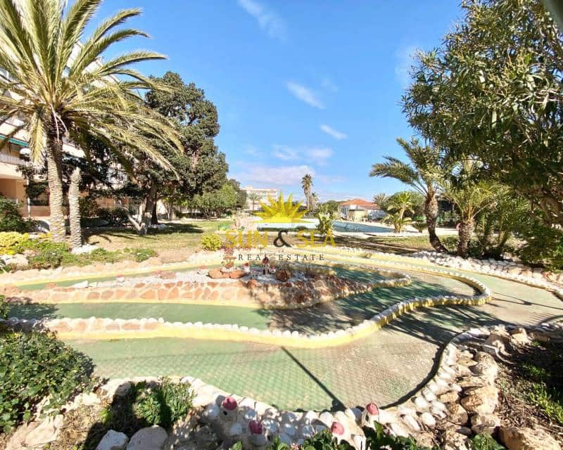 Apartamento de 1 habitación en Guardamar del Segura en alquiler con piscina - 550 € (Ref: 8802127)