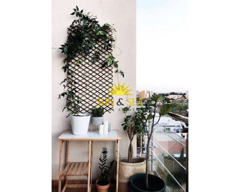 Apartamento de 2 habitaciones en Orihuela Costa en alquiler con piscina - 800 € (Ref: 8864341)