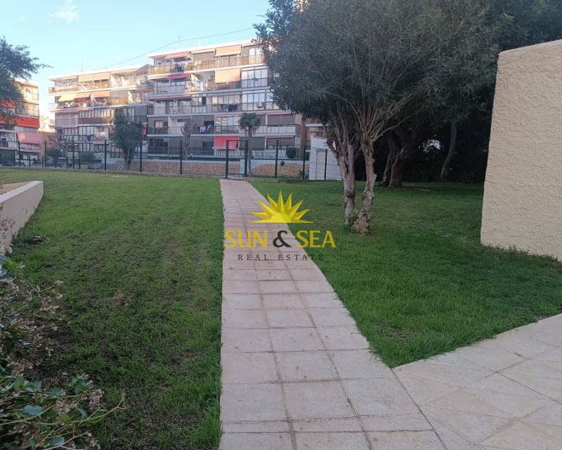 1 Zimmer Apartment zu vermieten in Benidorm mit Pool - 850 € (Ref: 8897827)