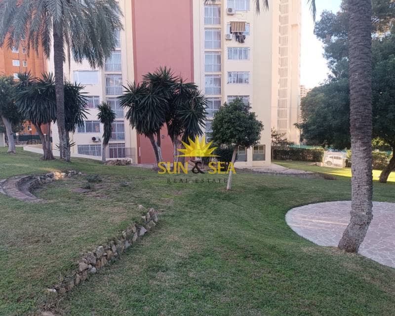 1 Zimmer Apartment zu vermieten in Benidorm mit Pool - 850 € (Ref: 8897827)