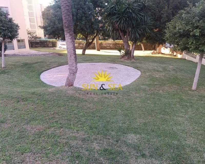 1 Zimmer Apartment zu vermieten in Benidorm mit Pool - 850 € (Ref: 8897827)