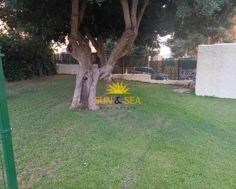 1 Zimmer Apartment zu vermieten in Benidorm mit Pool - 850 € (Ref: 8897827)