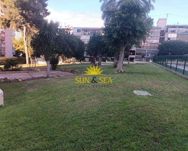 1 Zimmer Apartment zu vermieten in Benidorm mit Pool - 850 € (Ref: 8897827)