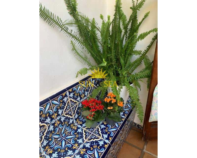 2 bedroom Villa for holiday rental in La Manga del Mar Menor - € 900 (Ref: 9113621)