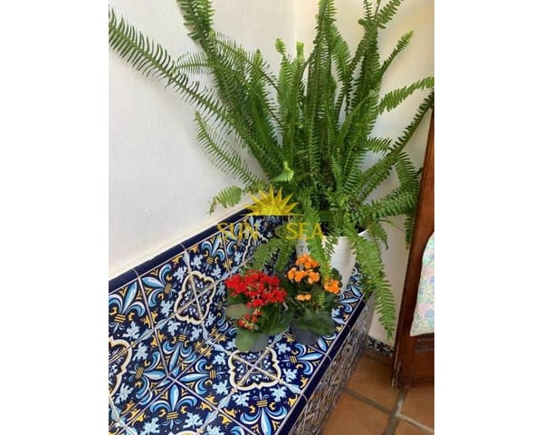 2 bedroom Villa for holiday rental in La Manga del Mar Menor - € 900 (Ref: 9113621)
