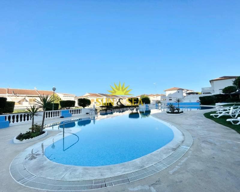 1 soveværelse Studio til leje i La Mata med swimmingpool - € 650 (Ref: 9165396)