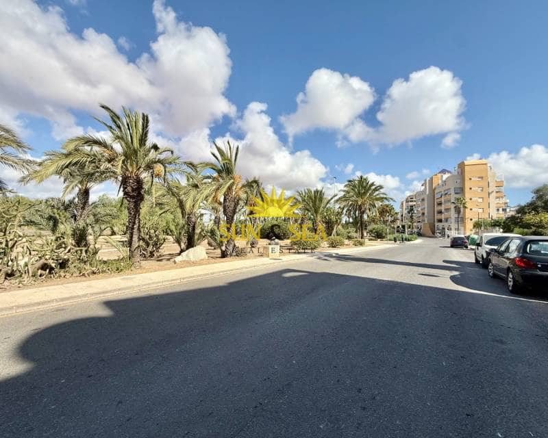 1 soveværelse Lejlighed til leje i Torrevieja - € 750 (Ref: 9184017)