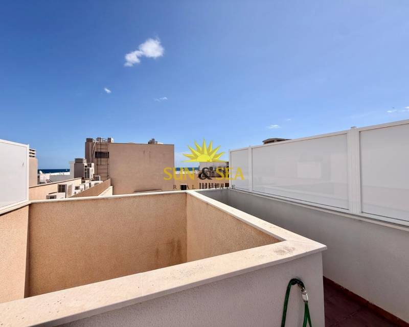 2 bedroom Penthouse for rent in Torrevieja - € 1,200 (Ref: 9235297)