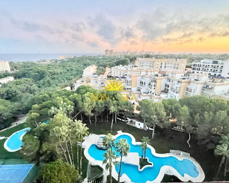 4 sypialnia Penthouse do wynajęcia w Dehesa de Campoamor z basenem garażem - 1 300 € (Ref: 9308055)