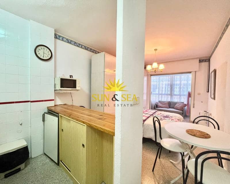 1 bedroom Studio for rent in Torrevieja - € 500 (Ref: 9309067)