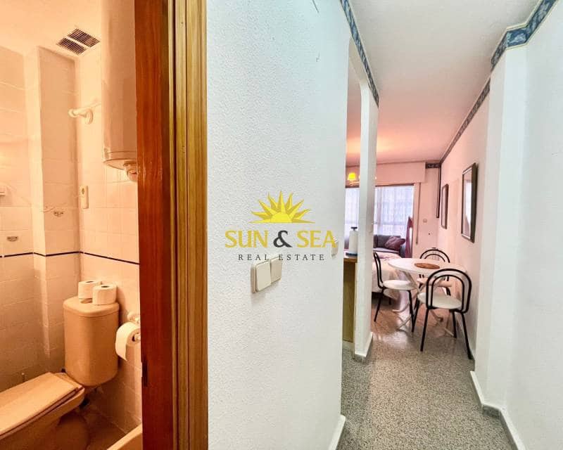1 bedroom Studio for rent in Torrevieja - € 500 (Ref: 9309067)