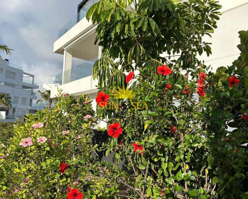 2 bedroom Apartment for rent in Torrevieja with pool - € 1,400 (Ref: 9372318)