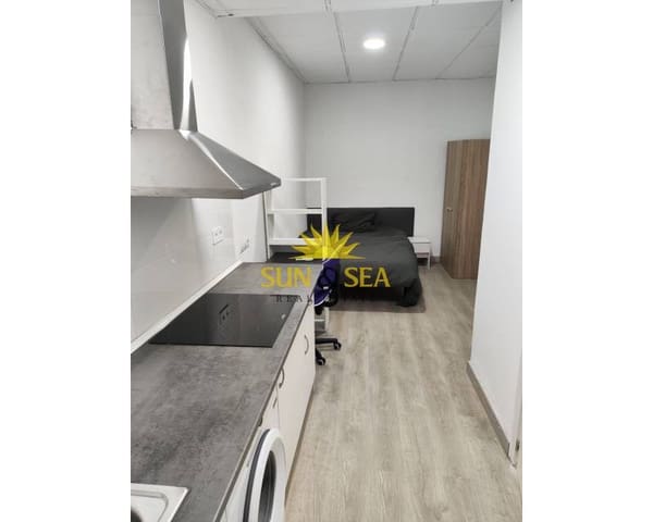 1 bedroom Studio for rent in Villafranqueza, Alicante / Alacant city - € 650 (Ref: 9401072)