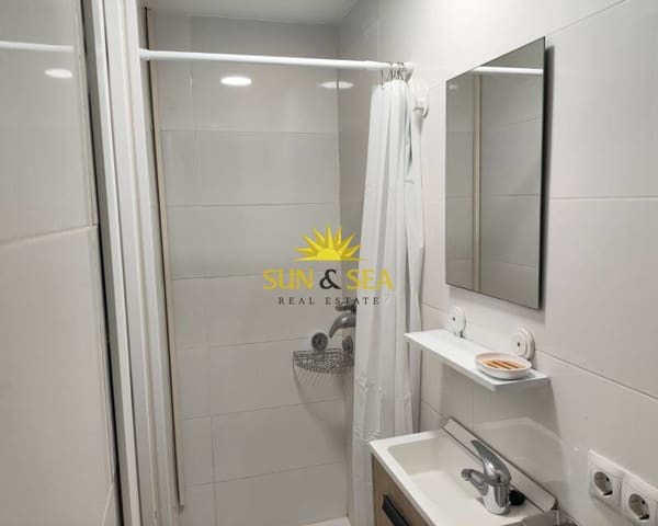 1 bedroom Studio for rent in Villafranqueza, Alicante / Alacant city - € 650 (Ref: 9401072)