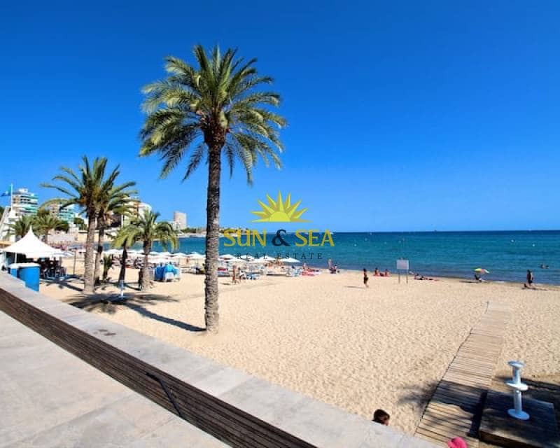 3 sypialnia Apartament do wynajęcia w Miasto Alicante / Alacant - 1 300 € (Ref: 9459750)