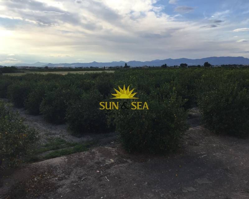 Apartamento de 2 habitaciones en Daya Nueva en venta con garaje - 260.000 € (Ref: 9479407)