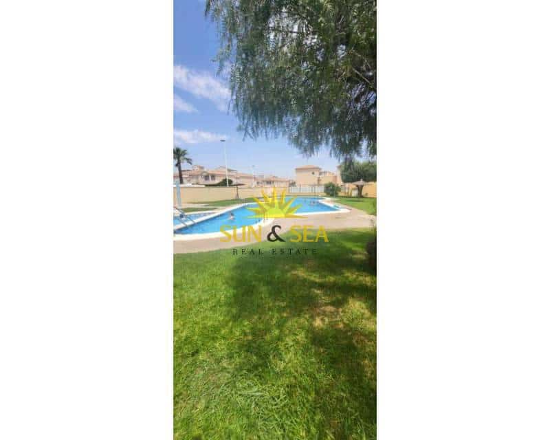 1 bedroom Apartment for rent in Torrevieja with pool - € 650 (Ref: 9481437)