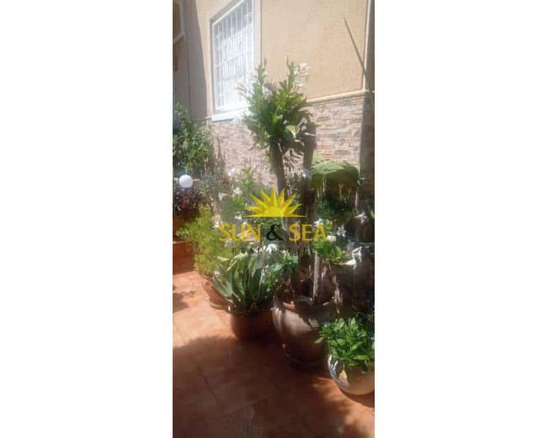 1 bedroom Apartment for rent in Torrevieja with pool - € 650 (Ref: 9481437)