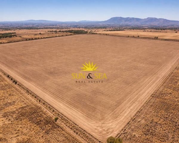 Finca/Casa Rural de 1 habitación en Crevillente / Crevillent en venta - 350.000 € (Ref: 9618472)