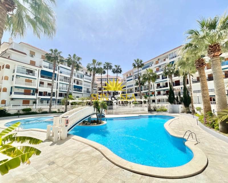 1 Zimmer Studio zu vermieten in La Mata mit Pool - 690 € (Ref: 9709151)
