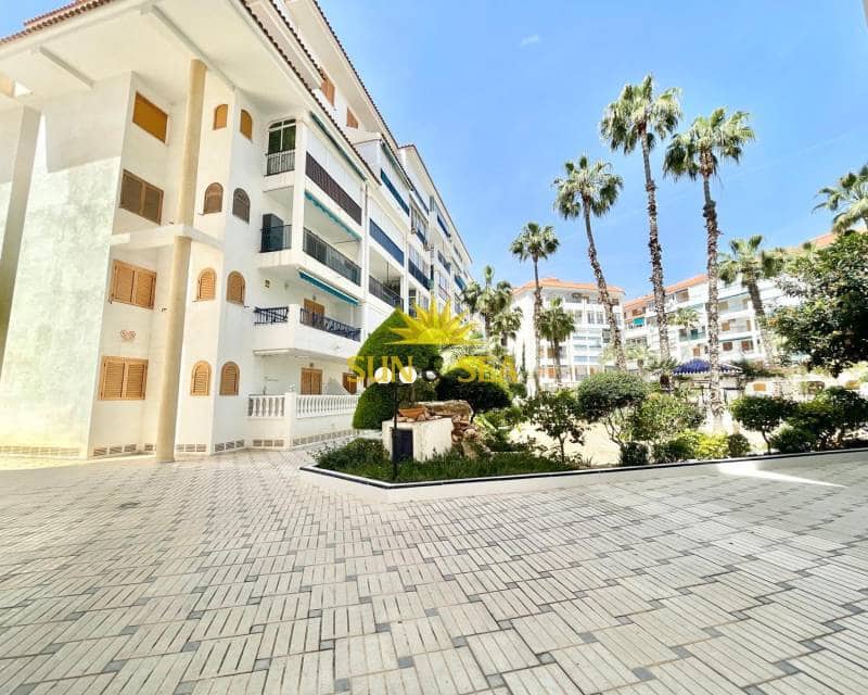 1 Zimmer Studio zu vermieten in La Mata mit Pool - 690 € (Ref: 9709151)